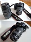 Canon EOS 1000D systemkamera m. 2 objektiv och väska