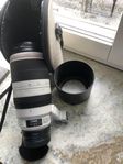 Canon EF 100-400 IS L mkII