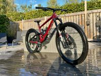 specialized enduro expert 2021