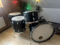 1969 Ludwig Black Panther