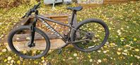 Specialized rockhopper elite 29