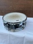 Ludwig 13" virvel