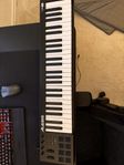 alesis v49