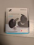 Sennheiser momentum sport