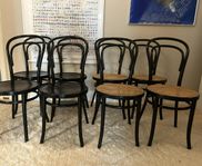 Fameg Thonet/Ton