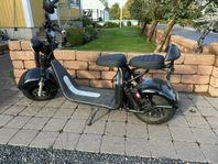 elscooter 3000W