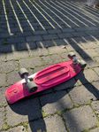 Skateboard (pennyboard)