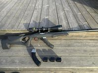 Ruger 10/22 KIDD custom