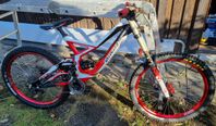 Specialized 2012 Demo 8 II Downhill cykel