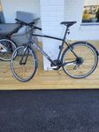 specialized  Sirrius 28 tum L