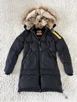 Parajumpers longbear