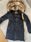 Parajumpers long bear