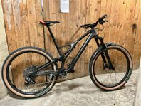 Specialized Stumpjumper Expert ST AXS