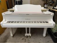 Yamaha C3 conservatory vitlack