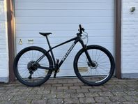 Specialized epic HT 2020