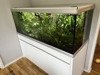 akvarium akvastabil move 576l back to nature