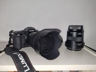 Panasonic Lumix s5, optik, Sigma 50 1.4 art, lumix 20-60