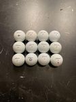 Titleist pro v1 dussin/12st