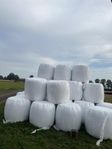 hösilage 