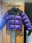 1996 Retro Nuptse Jacket