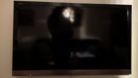 Sony LCD TV 