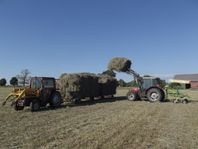 Hö, hösilage och havrehalm