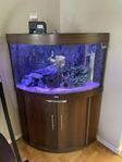 Juwel Trigon 190l aquarium (utan fisker)