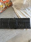 corsair rgb keyboard nyskick 