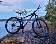 cannondale trial 7 M  29"