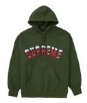 Supreme Icy Arc Hoodie