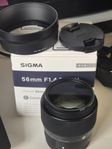 Sigma 56mm F1.4 contemporary Sony E fattning + CPL filter