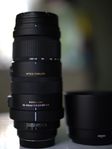 Sigma 120-400mm f/4.5-5.6 DG OS HSM