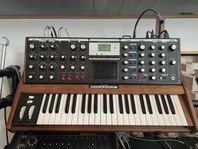 Moog voyager 