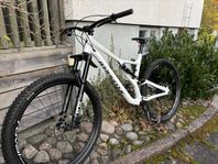 Specialized stumpjumper comp alloy 29 XL