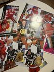 wayne gretsky plus 14 redwings hockeykort