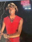 LP Andy Gibb – After Dark