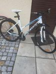 fin dam cykel scott sportster 28tum 