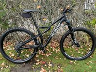 Specialized Stumpjumper FSR Comp29”