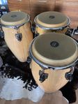 Meinl congas professional series