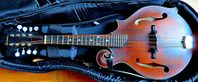 Mandolin Eastman MD 315