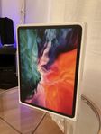 iPad Pro 12,9" 1 TB -  Apple iPad Pro (4th gen)