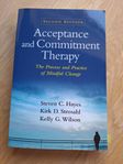 Hayes, S.C. et al (2012). Acceptance and commitment therapy