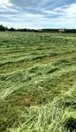 Hösilage 