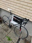 Äldre Racer Trek   XL/61 cm