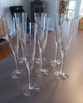 Champagneglas Kosta Boda Line