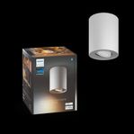 Philips Hue White Ambiance Pillar