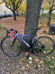 Wilier Trisestina lampre 