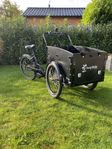 Cargobike Delight lådcykel, 8-växlad ej utanpåliggande