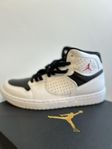 Basketskor - Nike Air Jordan Access Vita