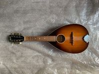 Gammal Levin Mandolin 156225 Gitarr Liten 8 Strängar viol